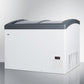 Summit FOCUS106 9.5 Cu.Ft. Chest Freezer