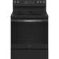 Ge Appliances JB735FPDS Ge® 30