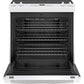 Ge Appliances JS760DPWW Ge® 30